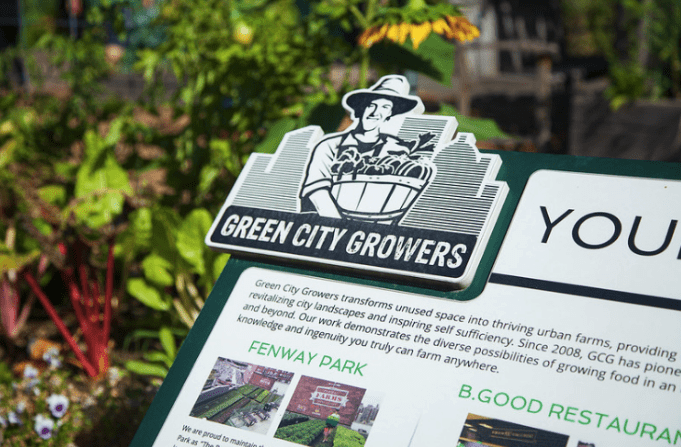 Close shot of a sign at a garden that reads Green City Growers