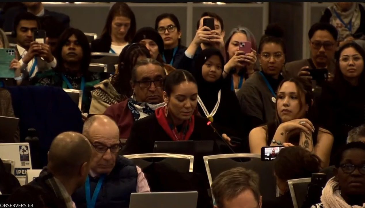 indigenous peoples in a plenary at the intergovernmental negotiating committee session